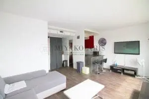 08miyakoparisfrontdeseinebeaugrenelleparisbeaugrenelleappartementfrontdeseineappartementdarchitecte