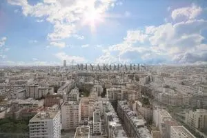 09miyakoparisfrontdeseinebeaugrenelleparisbeaugrenelleappartementfrontdeseineappartementdarchitecte